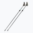 Kije nordic walking Fizan Carbon Pro Impulse grey