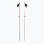 Kije nordic walking Fizan R-Evolution Pro red