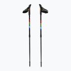 Kije nordic walking Fizan Speed Junior rainbow