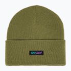 Czapka zimowa Oakley B1B Gradient Patch Beanie fern