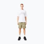 Koszulka męska Oakley Wired Mtn Scape Tee white