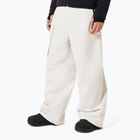 Spodnie snowboardowe męskie Oakley Channel Cargo mist
