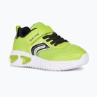 Buty juniorskie Geox Assister lime/black