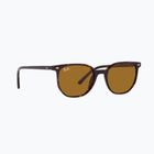 Okulary przeciwsłoneczne Ray-Ban Elliot havana brown/black polarized