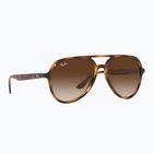 Okulary przeciwsłoneczne Ray-Ban RB4376 havana/brown gradient