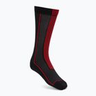 Skarpety męskie Alpinestars Summer 22 black/bright red