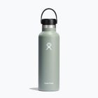 Butelka termiczna Hydro Flask Standard Flex 620 ml agave