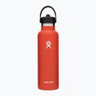 Butelka termiczna Hydro Flask Standard Flex Straw 620 ml goji