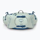 Saszetka nerka męska Osprey Talon 6 l mint green/night shift