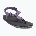 Sandały barefoot damskie Xero Shoes H-Trail sage purple HTW-SGPU