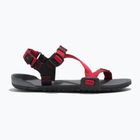 Sandały barefoot dziecięce Xero Shoes Z-Trail charcoal/red pepper