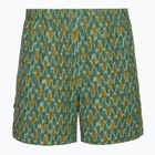 Spodenki męskie Royal Robbins All-In algae fish pt