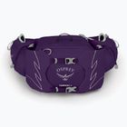Saszetka nerka damska Osprey Tempest 6 l violac purple