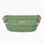 Saszetka nerka Osprey Arcane Hip 2 l botanica
