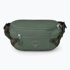 Saszetka nerka Osprey Transporter Waist Pack 3 l pine leaf