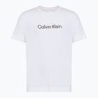 Koszulka męska Calvin Klein LVGMS5K183 Graphic classic white