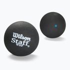 Piłki do squasha Wilson Staff Squash Ball Blue Dot 12 szt.