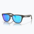 Okulary przeciwsłoneczne dziecięce Oakley Frogskins XXS grey smoke/prizm sapphire