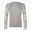 Koszulka bramkarska męska Nike Dri-FIT Park IV Goalkeeper pewter grey/white/black