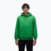 Bluza męska Napapijri B-Linth Hooded green kelly