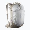 Plecak turystyczny Salomon Trailblazer 30 l khaki/glacier gray