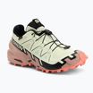 Buty do biegania damskie Salomon Speedcross 6 GTX lime cream/mahogany rose/black
