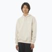 Bluza męska Salomon Logo Hoodie rainy day