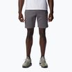 Spodenki trekkingowe męskie Columbia Logo Fleece city grey heather