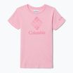 Koszulka trekkingowa dziecięca Columbia Mission Lake Graphic wild rose/csc stacked banded graphic