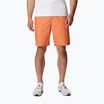 Spodenki trekkingowe męskie Columbia Washed Out desert orange