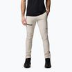 Spodnie trekkingowe męskie Columbia Titan Pass Pant II dark stone