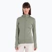 Bluza damska icebreaker Merino 260 Quantum IV Zip Hoodie lichen