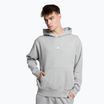 Bluza męska New Balance Athletics Remastered Graphic French Terry athletic grey