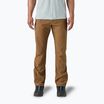 Spodnie trekkingowe męskie Patagonia Terravia Trail Regular coriander brown