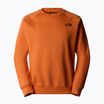 Bluza męska The North Face Raglan Box Nse Crew iron bronze/tnf black