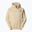Bluza męska The North Face Raglan Box Nse Hoodie gravel/smokey brown