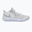 Buty Nike Zoom Hyperspeed Court SE smmit white/metalic silver/pure platinum