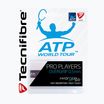 Owijki do rakiet tenisowych Tecnifibre Contact Pro 3 szt. white