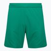 Spodenki piłkarskie męskie Capelli Sport Cs One Adult Match green/white