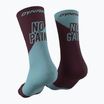 Skarpety DYNAFIT No Pain No Gain burgundy/storm blue