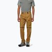 Spodnie trekkingowe męskie Salewa Puez Hemp/Dst 2/1 golden brown