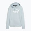 Bluza Puma ESS Logo Hoodie TR (S) turquoise surf