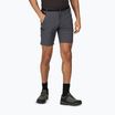 Spodenki trekkingowe męskie Regatta Xert Stretch III seal grey