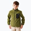 Bluza polarowa dziecięca REGATTA Junior Frankie Full Zip nephrite green