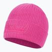 Czapka zimowa męska Pitbull Beanie Silvas Angel pink