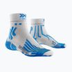 Skarpety męskie X-Socks Run Speed Two 4.0 pearl grey/invent blue