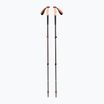 Kije trekkingowe Black Diamond Trail Cork Trekking fig