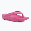 Japonki damskie Ellesse Aletha fuxia