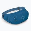 Saszetka nerka Osprey Daylite Waist 2 l blue spikemoss/alkaline