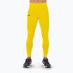 Spodnie termoaktywne Joma Brama Academy Long amarillo